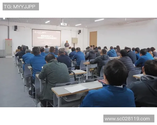 竞技体操C级赛事分析与训练方法探讨：提升竞技水平的关键路径