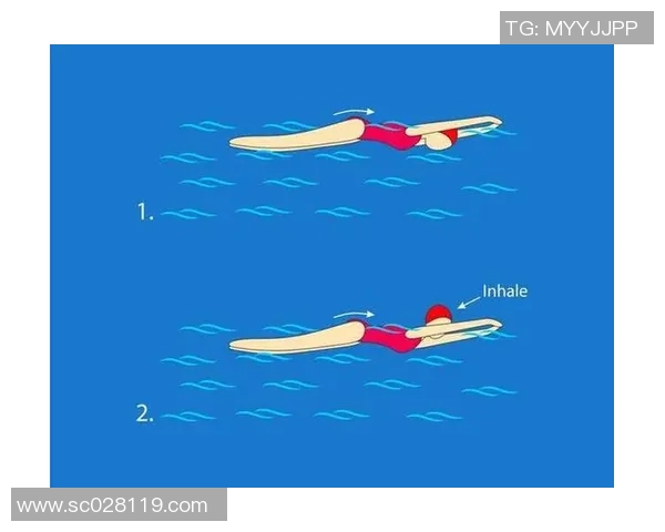 蝶泳技巧与动作要领解析：从基础到进阶的全面突破指南